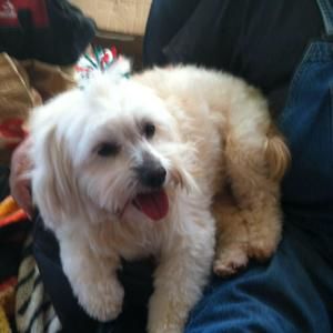 Meet your Posher, Martha